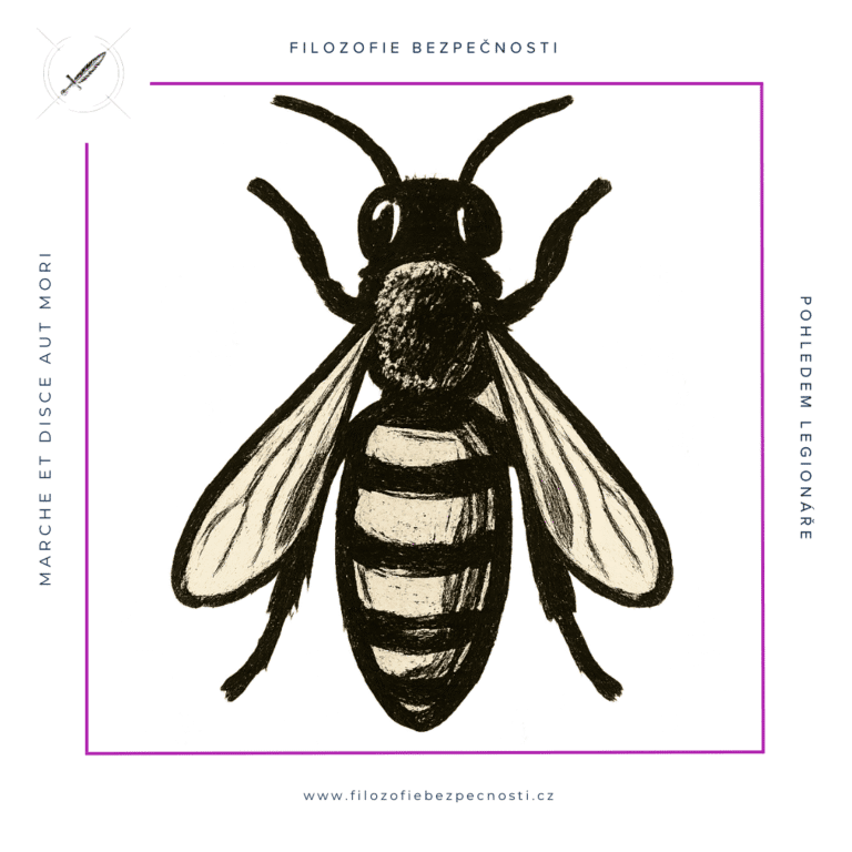 Tajemstv&iacute; krize, vize a transformace